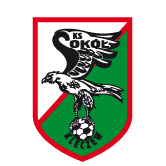 https://img.job36524.com/img/football/team/e6a8908dd206e2ea02d9803c82c60bba.png